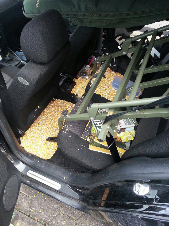 tot felu - 3821784357530065080751780093377n.jpg